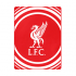 LIVERPOOL PULSE FLEECE BLANKET